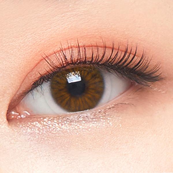 aster brown eye Aster Brown - Image 1