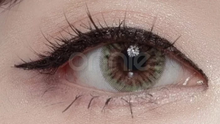 Aster - Green - Image 3