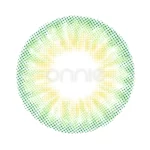 Aster - Green - Image 2