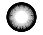 204 Gray - Image 2