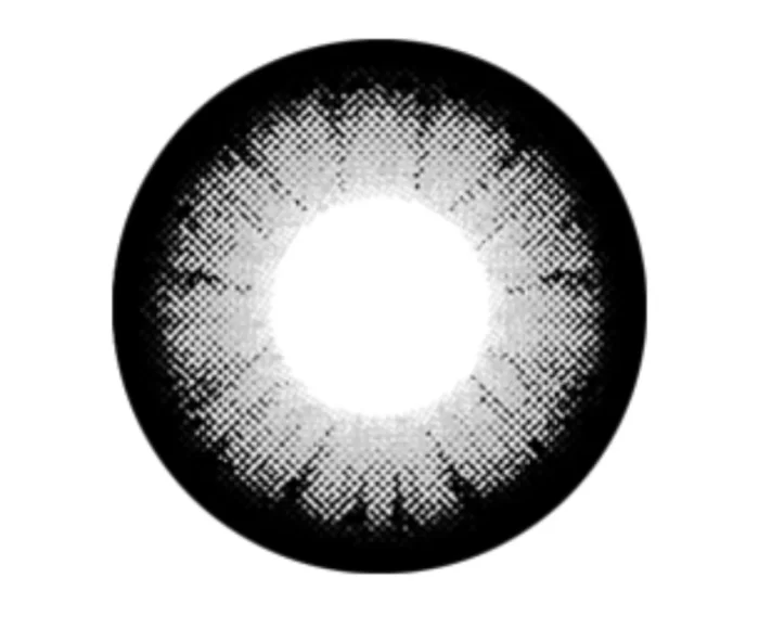 204 Gray - Image 2