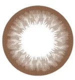 T1 Brown - Image 2