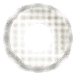 Muse Gray - Image 2