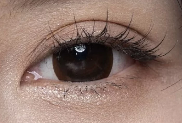 101 Dark Brown - Image 3