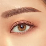 Pastel Brown