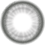 Sunny Gray - Image 3