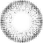 Ice Gray - Image 3